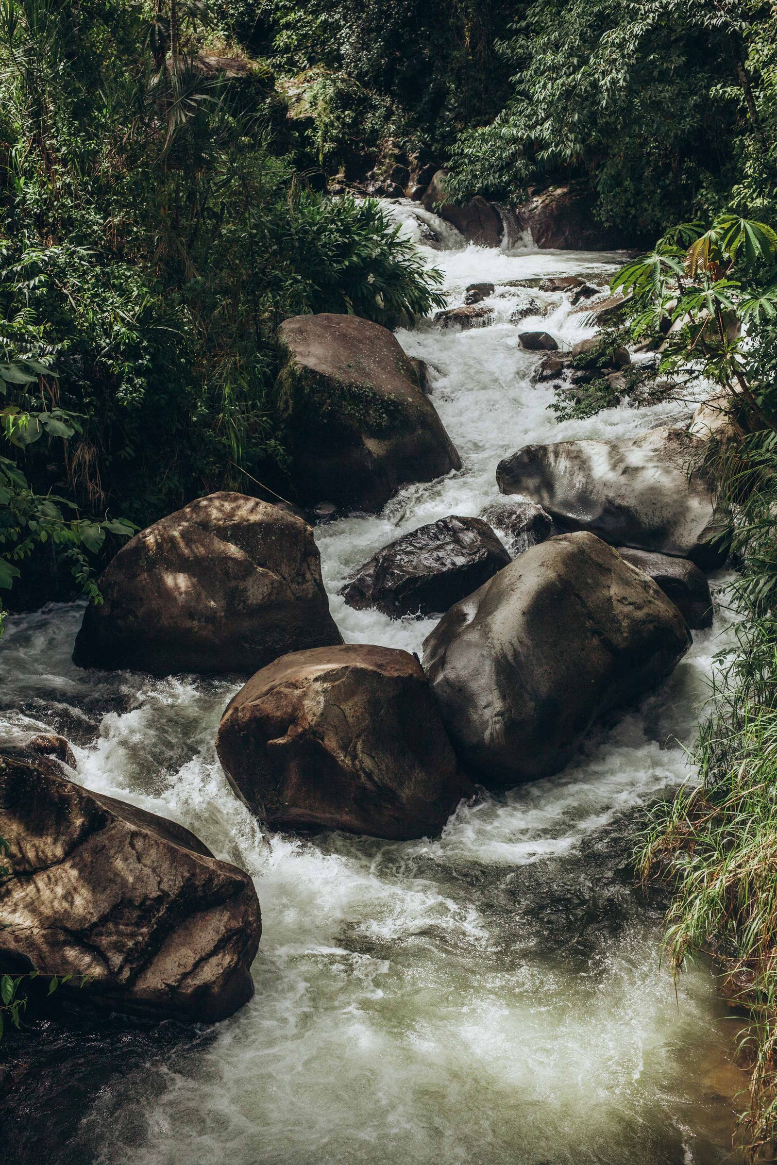 san gerardo river